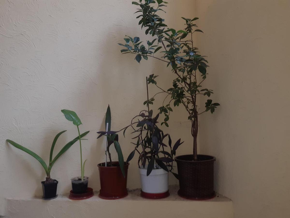 75 Katerynyns'Ka Street Apartment Odessa Luaran gambar
